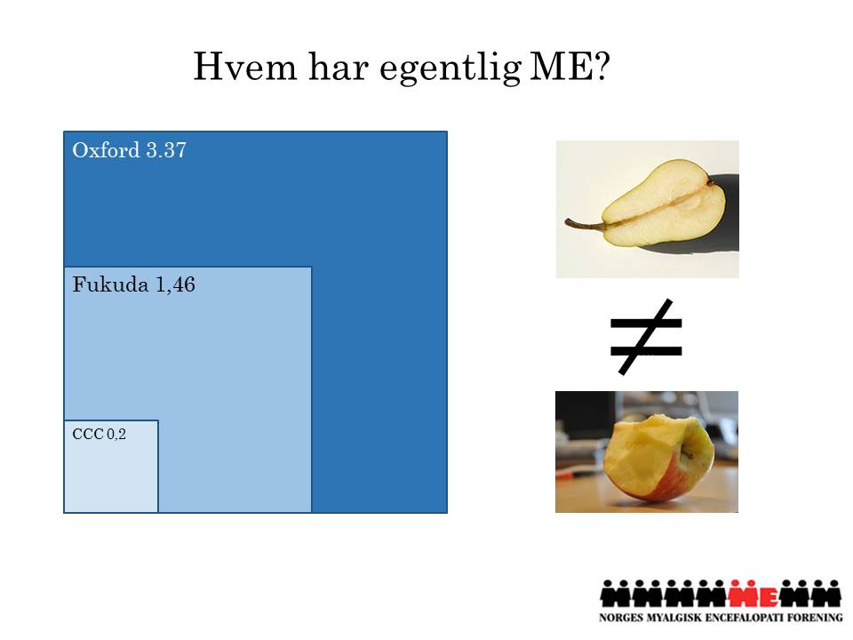 Lysbilde4